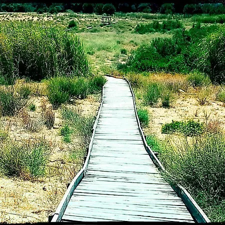 Terrazzo Di Venere La Riserva Bed & Breakfast Marinella di Selinunte